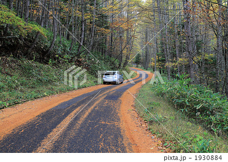 S字カーブ 1930884