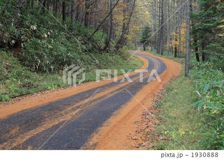 S字カーブ 1930888