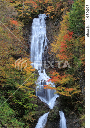 唐沢の滝の紅葉 1930893