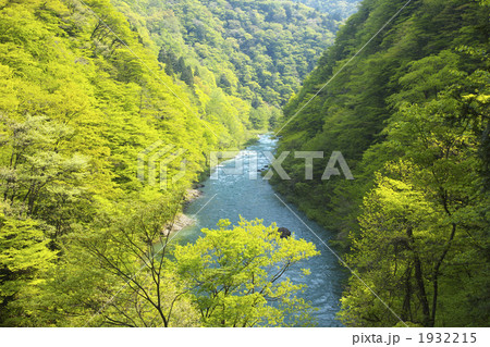 秋田 抱返り渓谷 秋田 抱返り渓谷 1932215