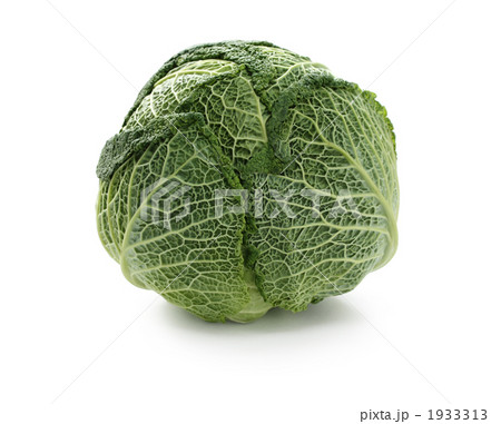サボイキャベツ 1933313