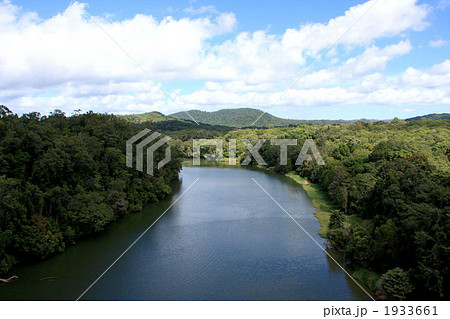 オーストラリア・キュランダ オーストラリア・キュランダ 1933661
