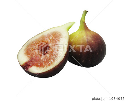 イチジク 1934055