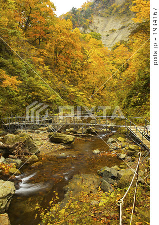 青森　白神山地　暗門川 1934167