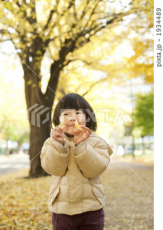 イチョウの葉を持つ女の子 1934489