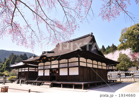 桜咲く三井寺 桜咲く三井寺 1934660