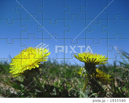 タンポポ　ジグゾーパズル 1935580