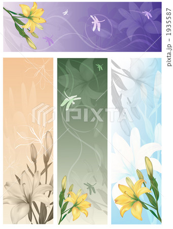 パターン_k_434737 1935587