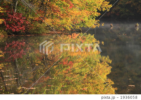色づく曲沢沼 1936058