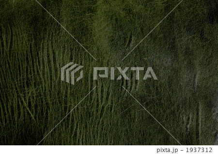 オイルレザー 皮革 革 革製品 天然皮革 ダークグリーン オイルレザー 皮革 革 革製品 天然皮革 ダークグリーン 1937312