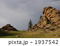 モンゴル　テレルジの岩山と馬 1937542