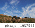 秋空と白馬 1937545