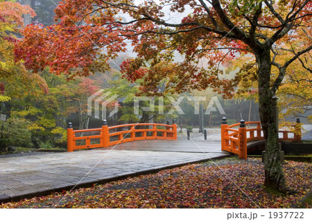 高野山奥の院の紅葉 1937722