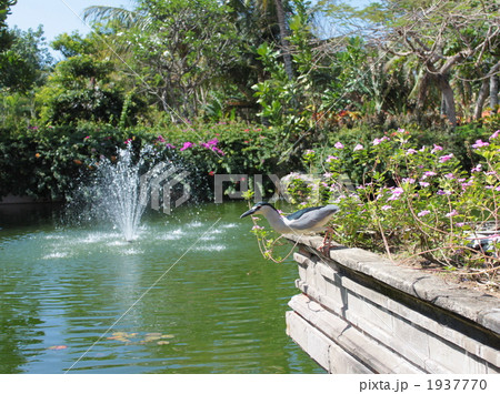 I can fly! I can fly! 1937770