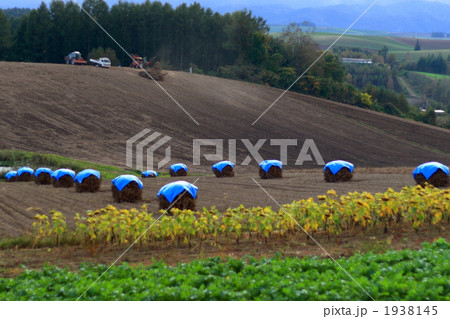収穫の丘 1938145