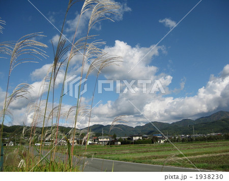 秋晴れの田園風景 秋晴れの田園風景 1938230