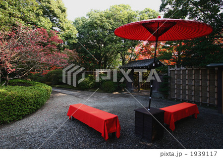 秋の茶席 1939117