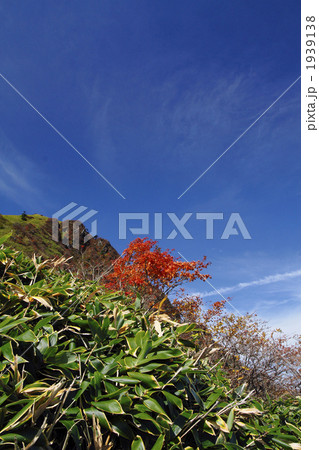 紅葉の瓶が森登山 紅葉の瓶が森登山 1939138