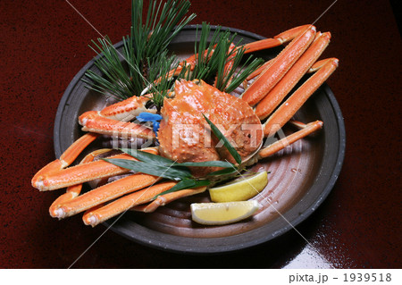 ブランド蟹兵庫県津居山の松葉蟹 1939518