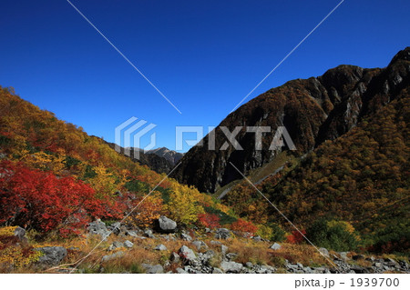 紅葉の涸沢カールからの眺め　 1939700