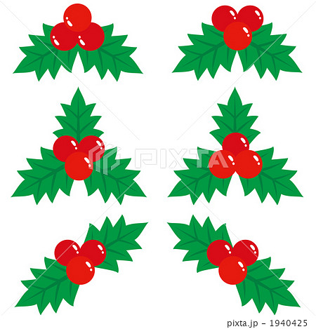 セイヨウヒイラギ クリスマスの飾りのイラスト素材