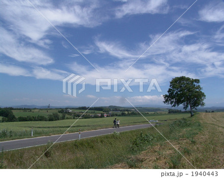 2人の行く道 2人の行く道 1940443