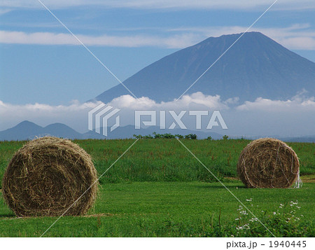 ロールベールと羊蹄山 1940445
