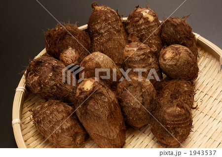 里芋 里芋 1943537