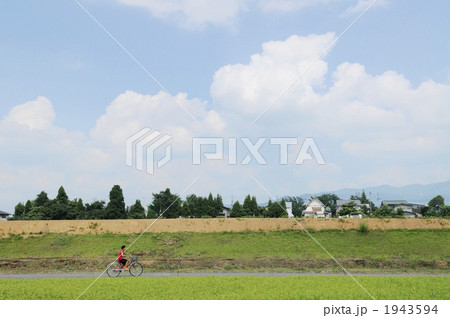 夏空の田園 1943594