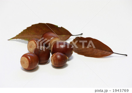 どんぐりと落ち葉 1943769