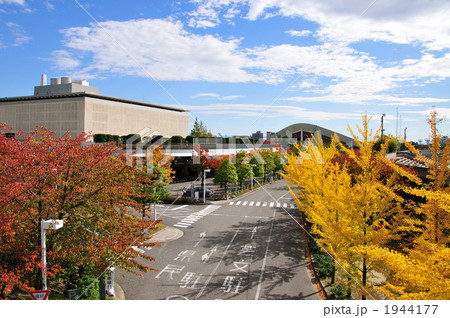 りゅーとぴあの紅葉 1944177