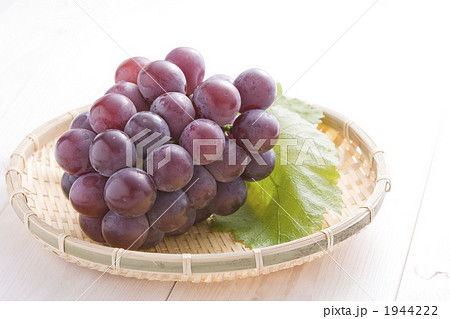 ピオーネ ピオーネ 1944222