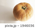 秋のかぼちゃ 1946036