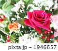 バラの花束 1946657