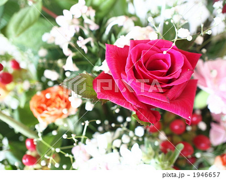 バラの花束 1946657