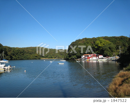 小網代の森 1947522