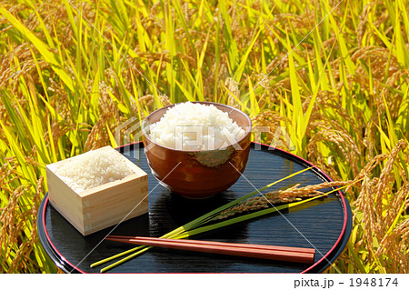 稲穂 米畑とお膳 稲穂 米畑とお膳 1948174