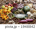 1948842