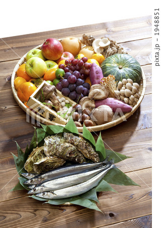 秋の食材集合写真 1948851