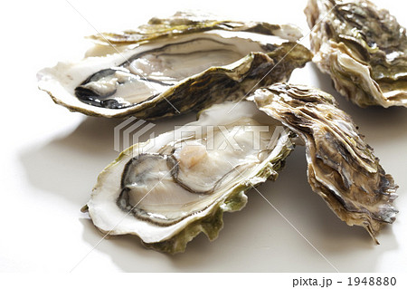 生牡蠣 1948880