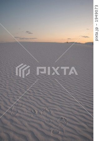 ホワイトサンズに残した足跡 ホワイトサンズに残した足跡 1949073