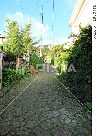 沖縄　首里金城町の石畳道 1950489