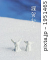 雪と二匹のうさぎ 1951465