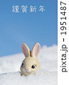 雪とうさぎ 1951487