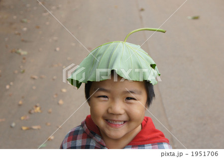 葉っぱの帽子 葉っぱの帽子 1951706