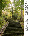 もみじ谷の階段 1952074