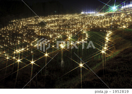 輝く棚田 1952819