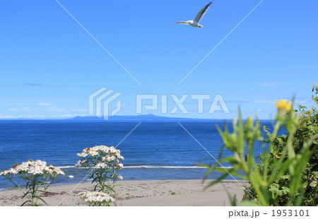 標津町から見た国後島 1953101