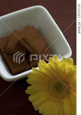 生チョコ 生チョコ 1953110
