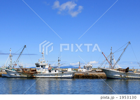 標津湾から見た国後島 1953130